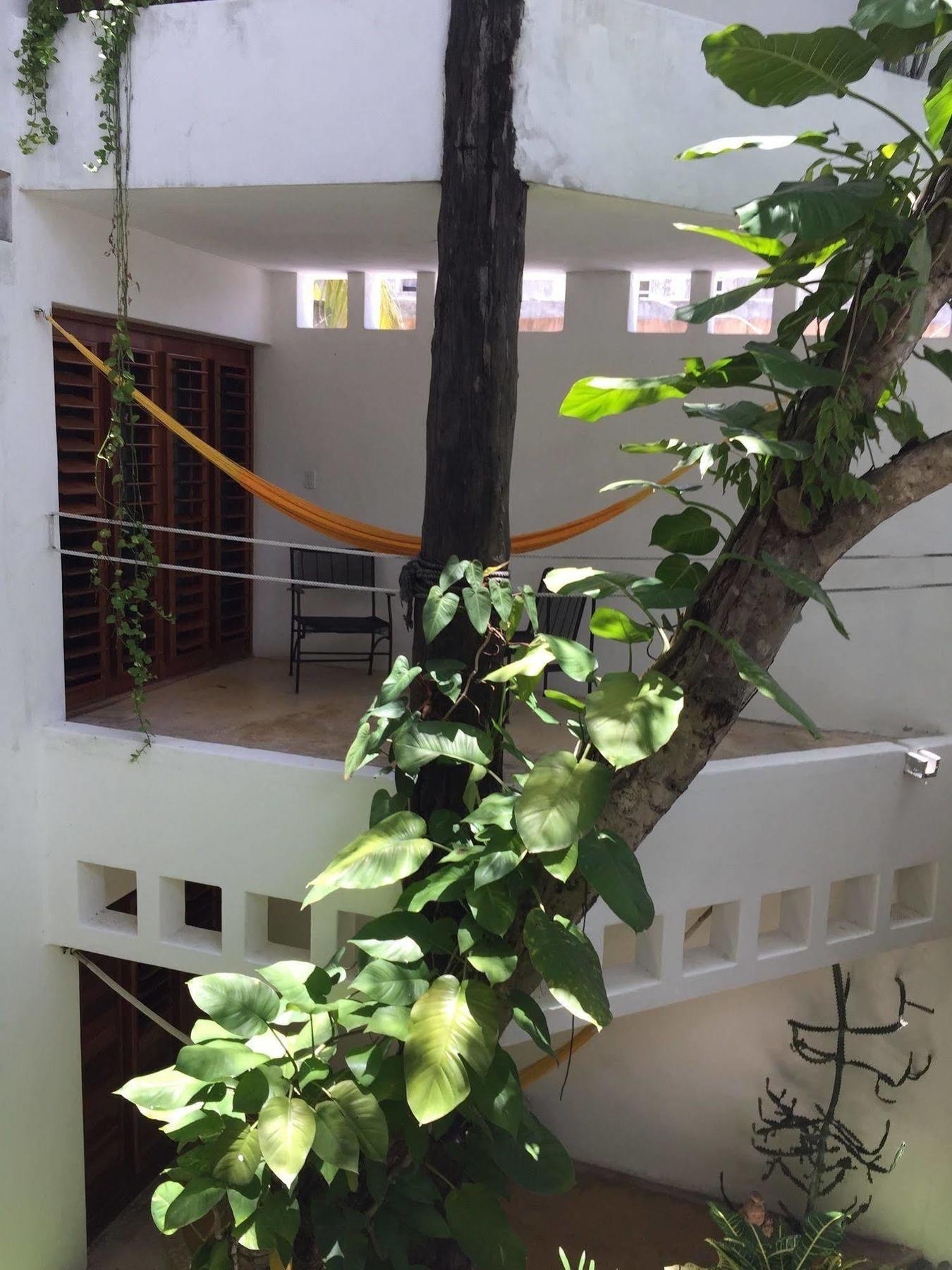 Hotel Mi Casa En Cozumel Exteriér fotografie