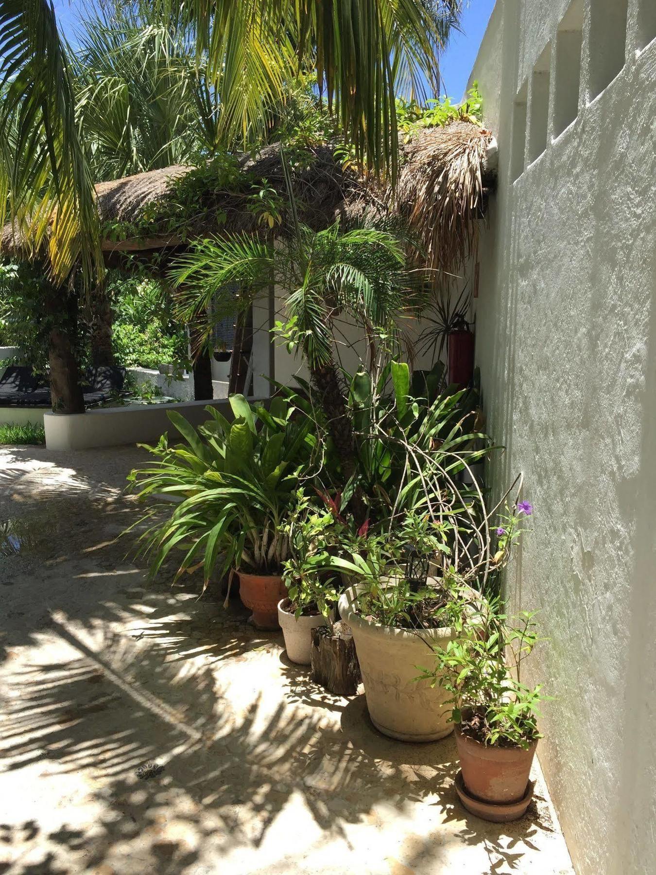 Hotel Mi Casa En Cozumel Exteriér fotografie